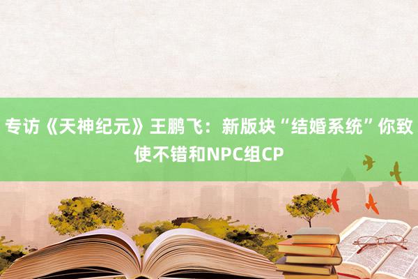 专访《天神纪元》王鹏飞：新版块“结婚系统”你致使不错和NPC组CP